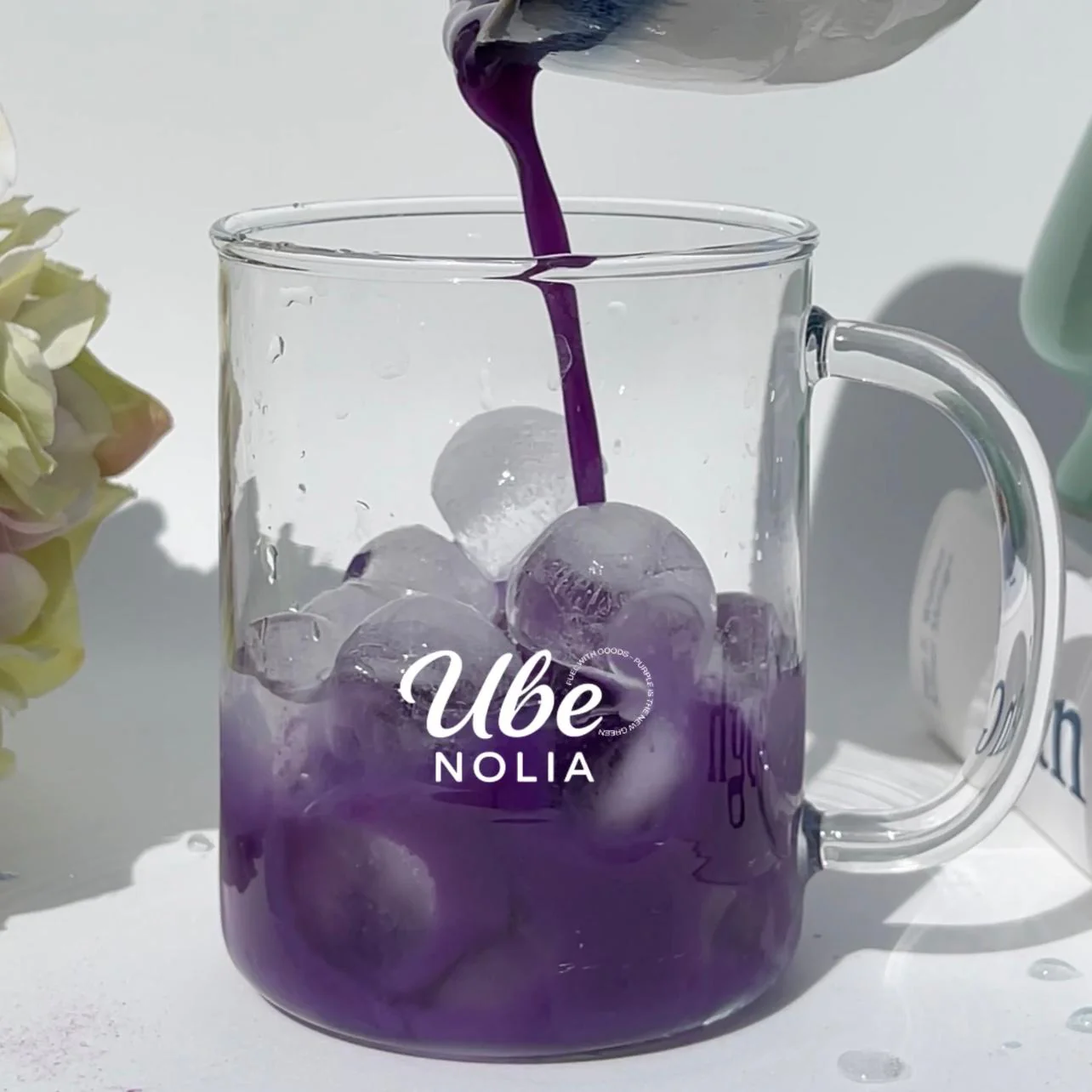 Poudre d’Ube Premium - Ube Nolia
